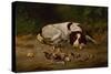 Good Doggy, 1883-Arthur Fitzwilliam Tait-Stretched Canvas