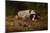 Good Doggy, 1883-Arthur Fitzwilliam Tait-Mounted Giclee Print