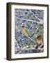 Good Evening Grosbeaks-Lauren Moss-Framed Giclee Print