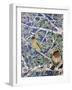 Good Evening Grosbeaks-Lauren Moss-Framed Giclee Print