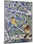 Good Evening Grosbeaks-Lauren Moss-Mounted Giclee Print