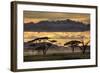 Good Evening Tanazania-null-Framed Art Print