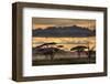 Good Evening Tanazania-null-Framed Art Print