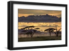 Good Evening Tanazania-null-Framed Art Print