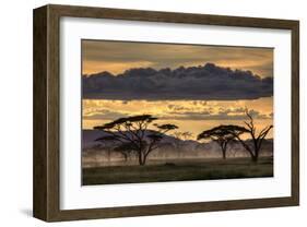 Good Evening Tanazania-null-Framed Art Print