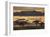 Good Evening Tanazania-null-Framed Art Print