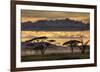 Good Evening Tanazania-null-Framed Art Print