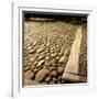 Good Example of American Stonework, famous cobblestones of Main Street in Nantucket 1850-Walker Evans-Framed Photographic Print