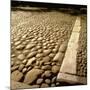 Good Example of American Stonework, famous cobblestones of Main Street in Nantucket 1850-Walker Evans-Mounted Photographic Print