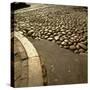 Good Example of American Stonework, famous cobblestones of Main Street in Nantucket 1850-Walker Evans-Stretched Canvas