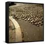 Good Example of American Stonework, famous cobblestones of Main Street in Nantucket 1850-Walker Evans-Framed Stretched Canvas