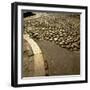 Good Example of American Stonework, famous cobblestones of Main Street in Nantucket 1850-Walker Evans-Framed Photographic Print