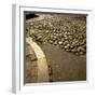 Good Example of American Stonework, famous cobblestones of Main Street in Nantucket 1850-Walker Evans-Framed Photographic Print