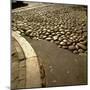 Good Example of American Stonework, famous cobblestones of Main Street in Nantucket 1850-Walker Evans-Mounted Photographic Print