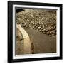 Good Example of American Stonework, famous cobblestones of Main Street in Nantucket 1850-Walker Evans-Framed Photographic Print