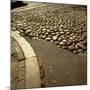 Good Example of American Stonework, famous cobblestones of Main Street in Nantucket 1850-Walker Evans-Mounted Photographic Print