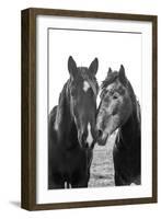 Good Friends Mane-Aledanda-Framed Photographic Print