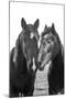 Good Friends Mane-Aledanda-Mounted Photographic Print