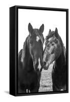 Good Friends Mane-Aledanda-Framed Stretched Canvas