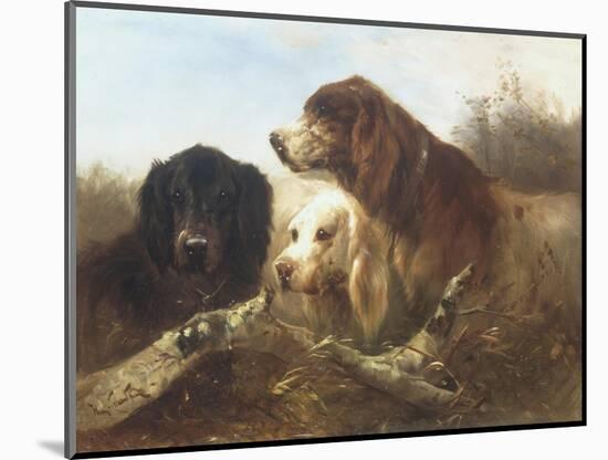 Good Friends-Henri Schouten-Mounted Giclee Print