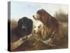 Good Friends-Henri Schouten-Stretched Canvas