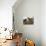 Good Friends-Henri Schouten-Mounted Giclee Print displayed on a wall