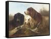 Good Friends-Henri Schouten-Framed Stretched Canvas