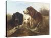 Good Friends-Henri Schouten-Stretched Canvas