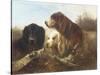 Good Friends-Henri Schouten-Stretched Canvas