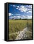 Good Harbor Beach, Gloucester, Cape Anne, Massachusetts, USA-Walter Bibikow-Framed Stretched Canvas