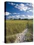 Good Harbor Beach, Gloucester, Cape Anne, Massachusetts, USA-Walter Bibikow-Stretched Canvas