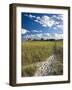 Good Harbor Beach, Gloucester, Cape Anne, Massachusetts, USA-Walter Bibikow-Framed Photographic Print