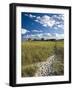 Good Harbor Beach, Gloucester, Cape Anne, Massachusetts, USA-Walter Bibikow-Framed Photographic Print