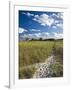 Good Harbor Beach, Gloucester, Cape Anne, Massachusetts, USA-Walter Bibikow-Framed Photographic Print