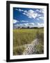 Good Harbor Beach, Gloucester, Cape Anne, Massachusetts, USA-Walter Bibikow-Framed Photographic Print