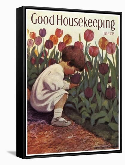 Good Housekeeping III-null-Framed Stretched Canvas