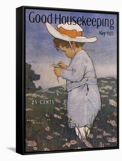 Good Housekeeping IV-null-Framed Stretched Canvas