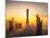 Good Morning Dubai A738758-Joana Duenas-Mounted Photographic Print