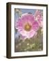 Good Morning Flower-George Johnson-Framed Photographic Print