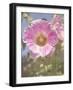 Good Morning Flower-George Johnson-Framed Photographic Print