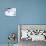 Good Morning Snowman - Jack & Jill-Beth Henninger-Giclee Print displayed on a wall
