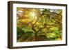 Good Morning Sunshine-Darren White Photography-Framed Photographic Print