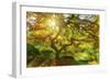 Good Morning Sunshine-Darren White Photography-Framed Photographic Print