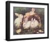 Good Morning-Ben Austrian-Framed Art Print