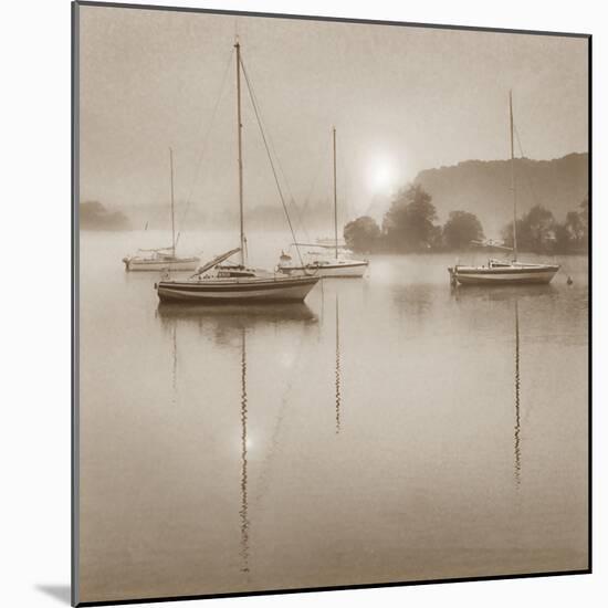Good Morning-Adrian Campfield-Mounted Photographic Print
