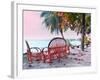 Good Morning-Steve Vaughn-Framed Photographic Print