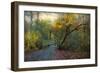 Good Morning-John Rivera-Framed Photographic Print