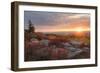 Good Morning-Danny Head-Framed Photographic Print