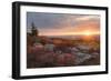 Good Morning-Danny Head-Framed Photographic Print