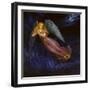 Good Night Angel-Edgar Jerins-Framed Giclee Print